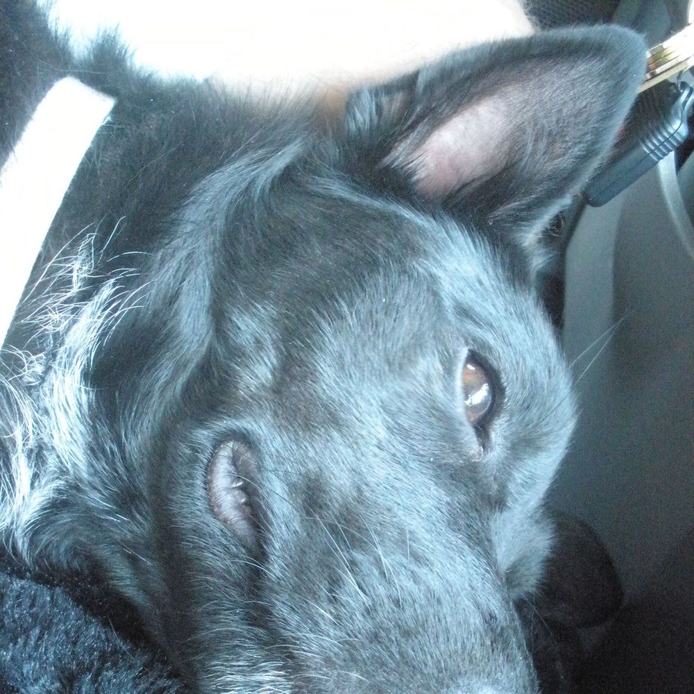 Meet your Posher, Wendy